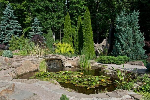 风景设计.看法关于小的池塘和水百合花和小的