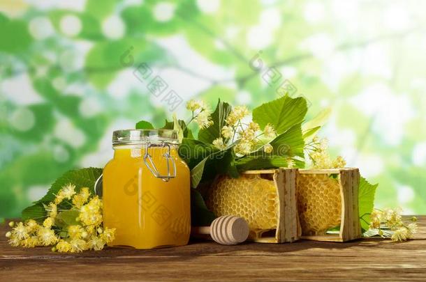 蜂窝和喜欢制造事端的人,罐子和蜂蜜向光绿色的背景