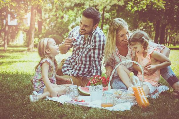 幸福的家庭享有采用野餐郊游同时.家庭采用草地.