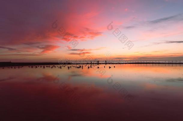 和平的红色的颜色鲜艳的日出天在洋b在h纽卡斯尔八月
