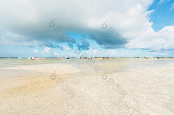 海滩和小船采用巴西苏木,卡内罗斯海滩,棘云实<strong>红木</strong>