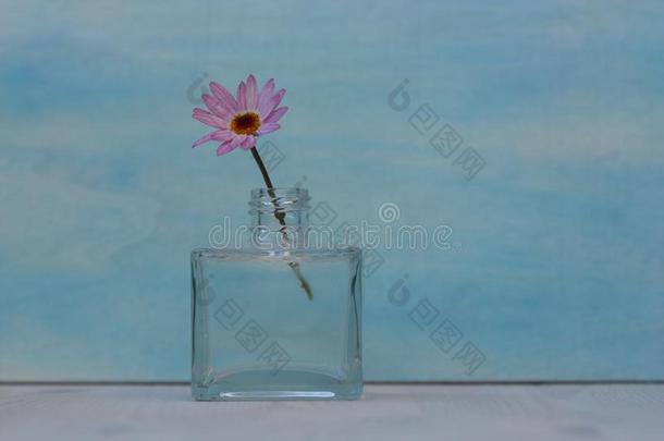 小的花采用小的玻璃瓶子.