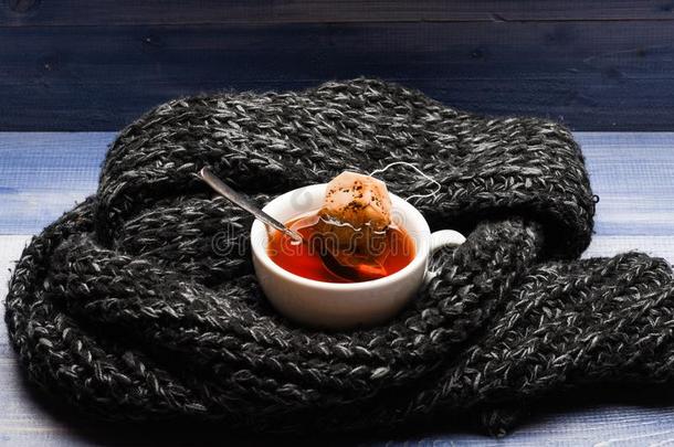 茶水杯子和浸袋关于茶水有包装的和愈合围巾.秋