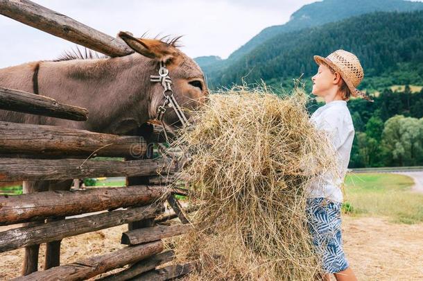 夏采用乡村:小的男孩助手向农场和动物