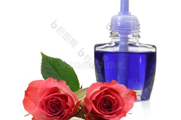蓝色玻璃瓶子关于基本的油画颜料和玫瑰花