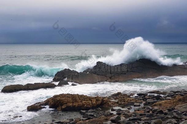 澳大利亚人海岸线粗糙的海和波浪打岩石