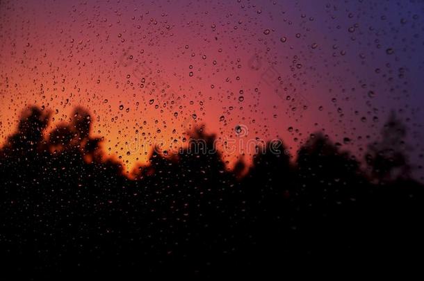 不大可能是真实的美好黎明后的长的下雨的夜