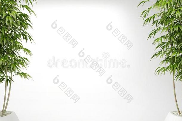 空的白色的内部和盆栽的竹子,自然的内部设计