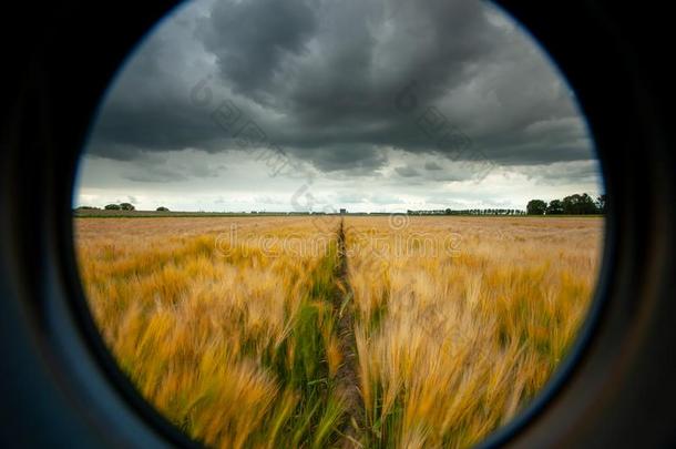 <strong>胁迫</strong>的雨云越过小麦风景