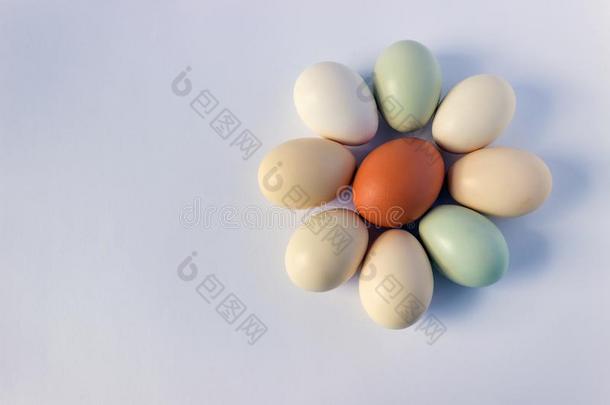 富有色彩的彩色粉笔卵向一白色的b一ckground.C向cept-E一ster,英语字母表的第8个字母
