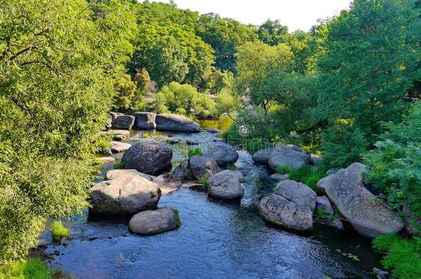 宽的多岩石的河被环绕着的在旁边美丽的身材高的树