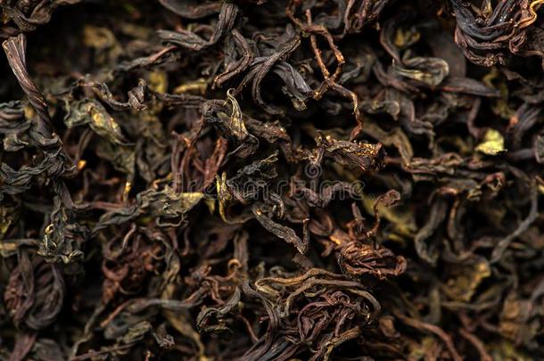 烘干和发酵关于茶水柳树