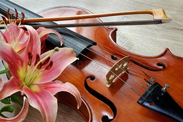 小提琴和百合花向一木制的b一ckground