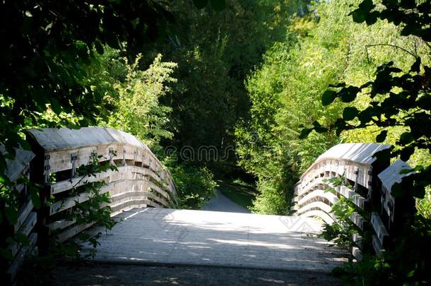 树木园跟踪通过一木制的桥