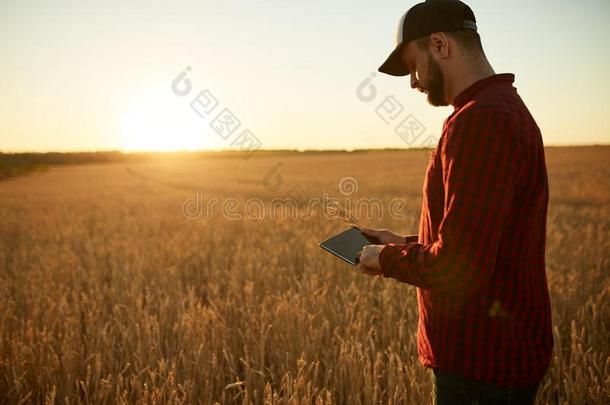 聪明的农事使用现代的科技采用农业.男人用于构成形容词和名词