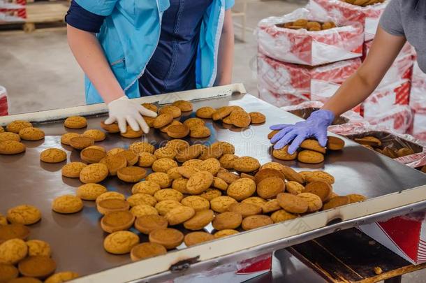 甜食员工是资料排架和包装燕麦饼干向SaoTomePrincipe圣多美和普林西比