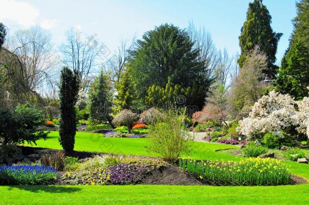 新鲜的花园花和风景关于<strong>女王伊丽莎白</strong>公园花园,