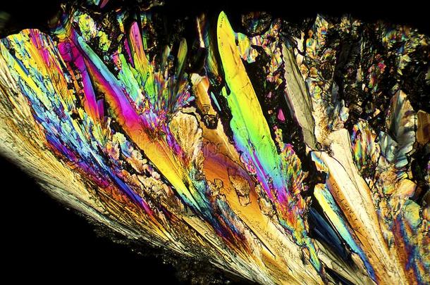 充满生机的抽象的显微图关于有羽毛的赖氨酸水晶.