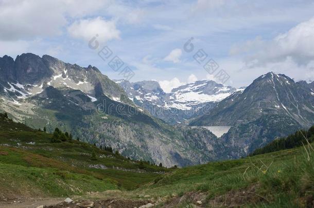 法国的alkali-treatedlipopolysaccharide碱处理的脂多糖风景优美的风景.山和草地.