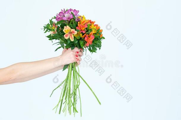 花花卉栽培技术节日的花束六出花属植物赠品