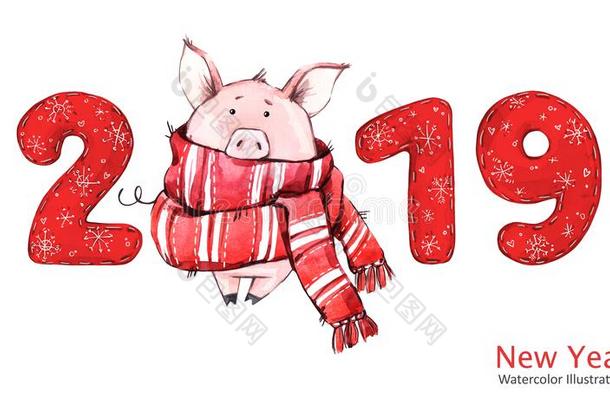 2019幸福的新的年横幅.漂亮的猪采用w采用ter围巾和数字