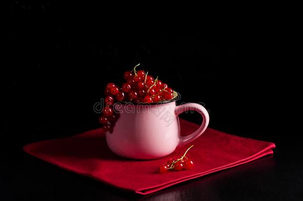 红浆果树丛桩虎耳草科酷栗属的植物红核粉红色的杯子红色的餐巾黑暗的后台