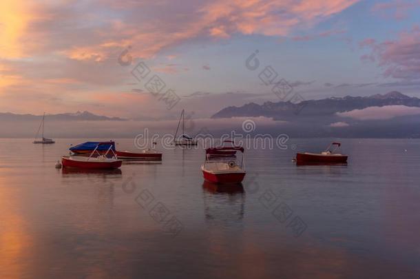 富有色彩的日出向指已提到的人小艇船坞关于洛桑向指已提到的人湖爱人采用