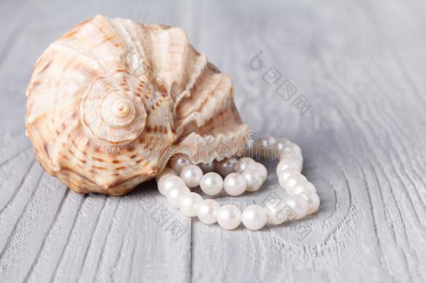 <strong>婚礼背景</strong>和珍珠和海壳.