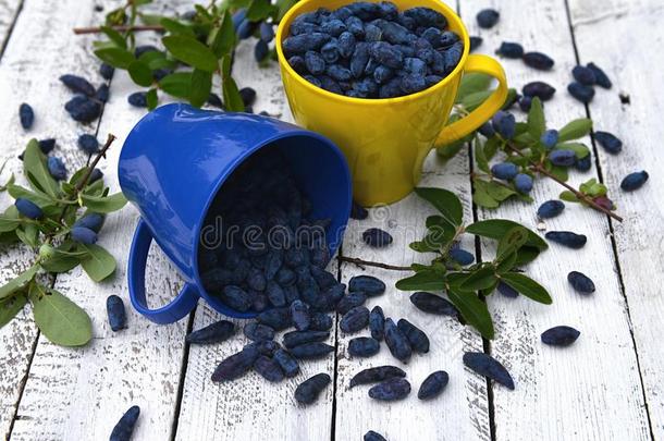 蓝色和<strong>黄</strong>色的杯子满的关于<strong>新鲜</strong>的成熟的<strong>蜜</strong>莓向白色的计划