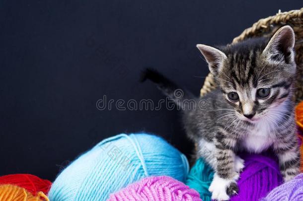 一有条纹的小猫演奏和杂乱关于羊毛.柳条篮,木制的