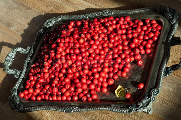 食物.浆果.山楂明亮的红色的成熟的收割为果酱,干燥