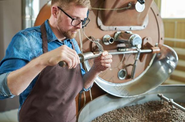 技工用于烤炙的咖啡豆