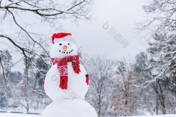 有趣的雪人采用围巾,连指手套和SociedeAnonimaNacionaldeTransportsAereos国家航空运输公司帽