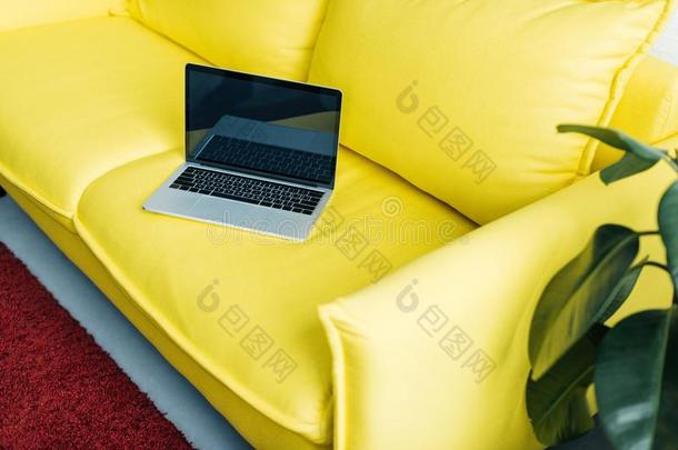 便携式电脑和空白的屏幕向黄色的长沙发椅和盆栽的