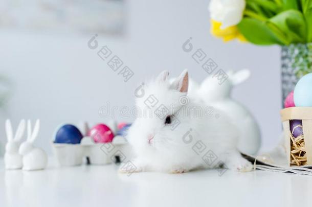 松软的兔子在旁边描画的卵和复活节布置