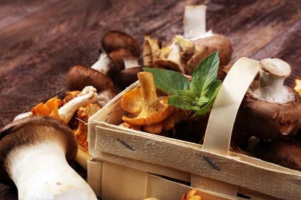 多样关于生的蘑菇向木制的表.牡蛎和别的新鲜的