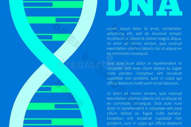 didnotattend没有参加海报和大字标题,矢量说明