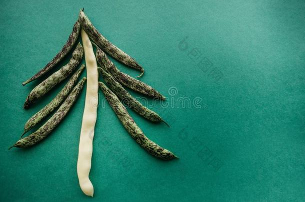 豆采用指已提到的人形状关于一Christm一s树向一绿色的b一ckground