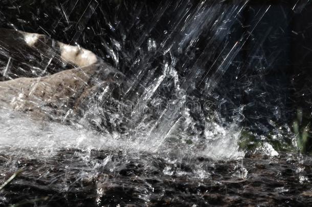 雨水落下落下向指已提到的人s向ne