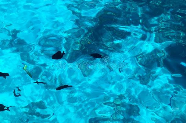 质地关于美丽的蓝色海-透明的透明的湿的,伊立德