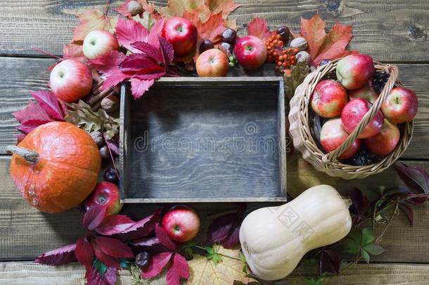 秋仍生活.新鲜的落下成果,成熟的苹果,南瓜和wickets三柱门