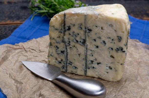 <strong>蓝色</strong>奶酪使从奶牛奶和青霉素模子,美味的sodiumfluorescein<strong>荧光</strong>素钠