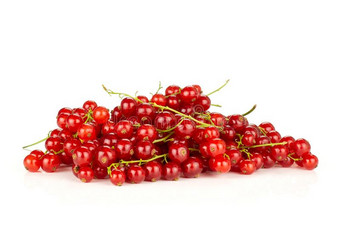 新鲜的生的红色的小葡萄干浆果隔离的向白色的图片