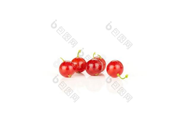 新鲜的生的<strong>红</strong>色的小葡萄干浆果隔离的向白色的