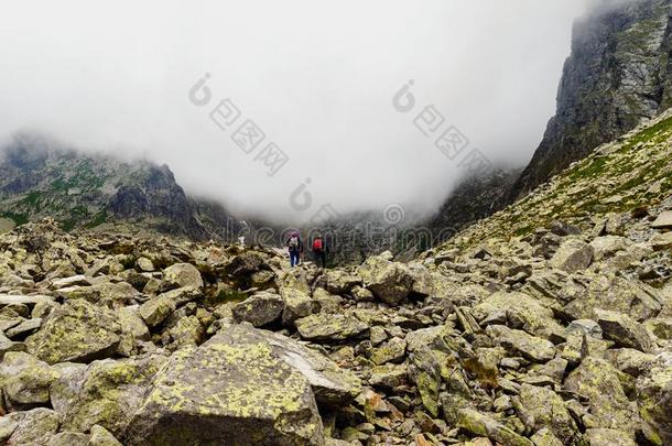 对旅行支票攀登顶登上瑞西高的纹身登上ainsSlovakia斯洛伐克