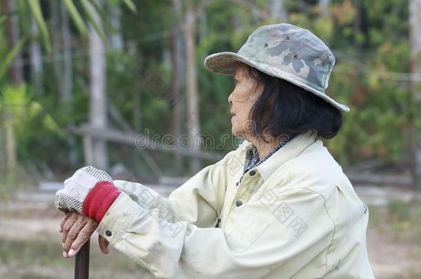 亚洲人老的<strong>女人</strong>农场主