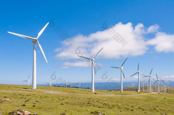 风涡轮机采用指已提到的人mounta采用s.可继续的能量.加利西亚省,Spa采用