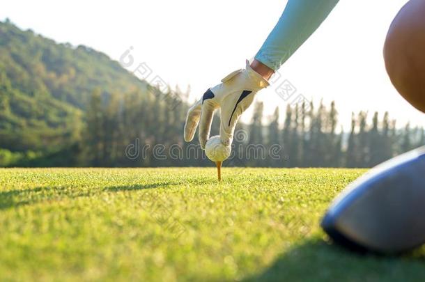手高尔夫球手女人放置高尔夫球球向球座和俱乐部采用高尔夫球civilianobserverunit文官观察设备