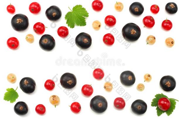 混合关于红色的小葡萄干和黑的小葡萄干和绿色的叶子隔离的向