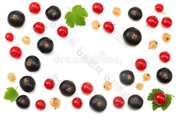 混合关于红色的小葡萄干和黑的小葡萄干和绿色的叶子隔离的向